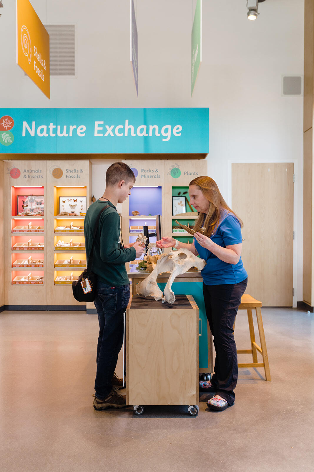 ScienceNorth-RoperMountainSC -3