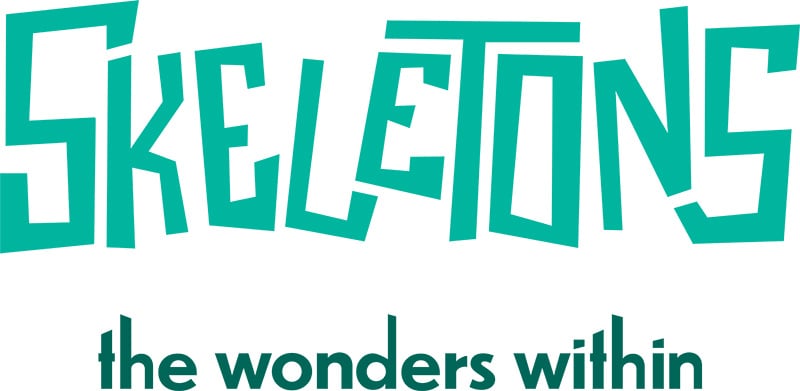 Skeletons: The Wonders Within