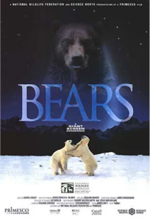 Bears